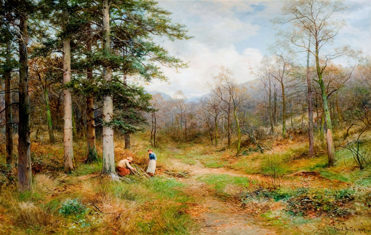 Sul Long Mynd, Church Stretton, 1907 da David Bates