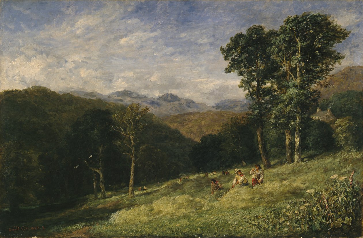 Fienagione vicino a Conway da David Cox