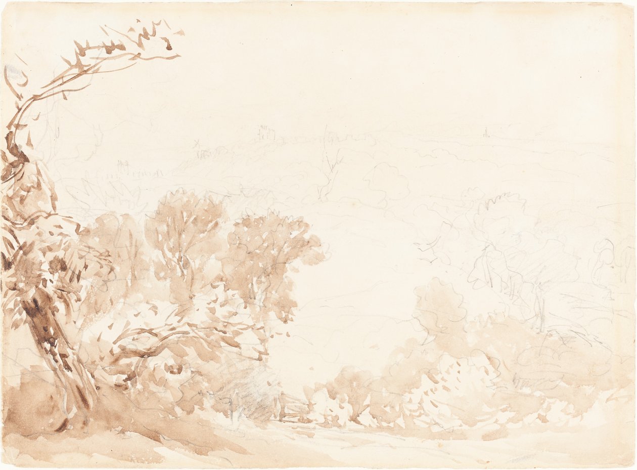 Collina e Alberi da David Cox