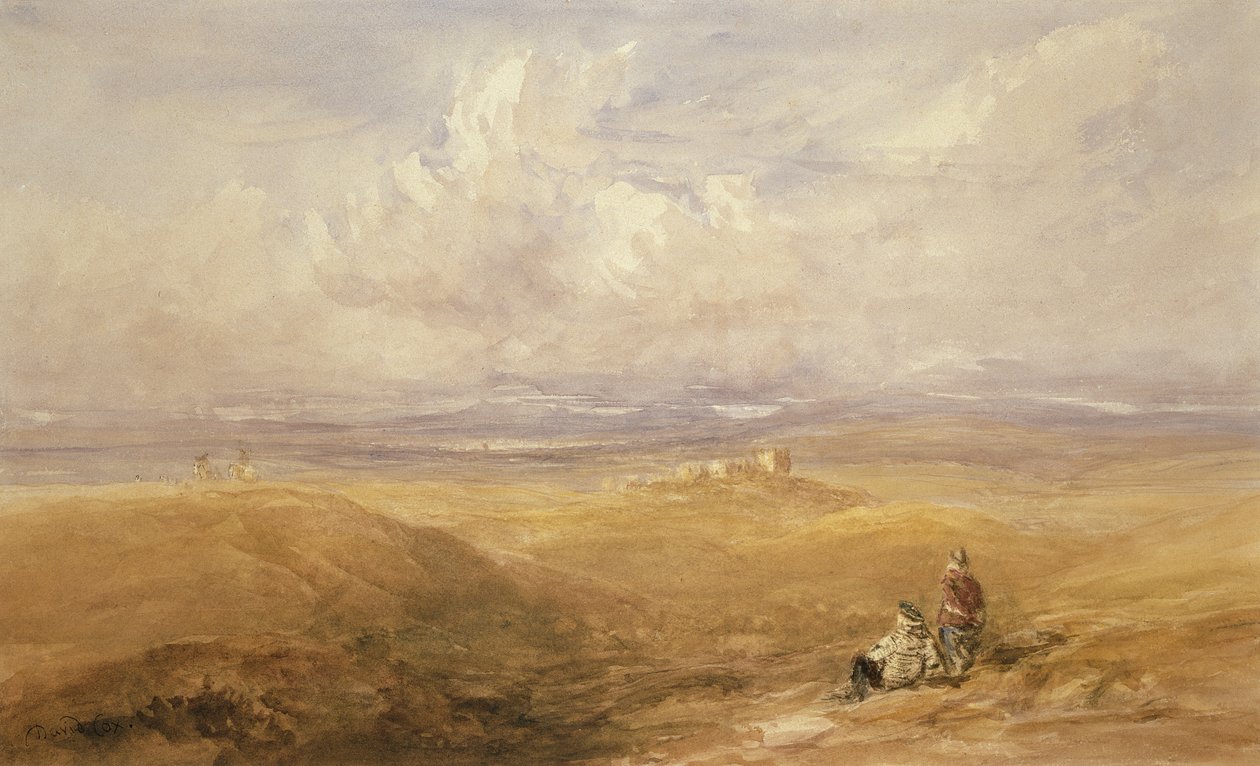 Castello di Lancaster da David Cox