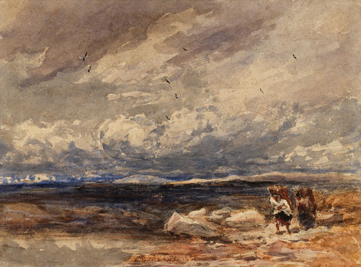 Su Carrington Moss da David Cox