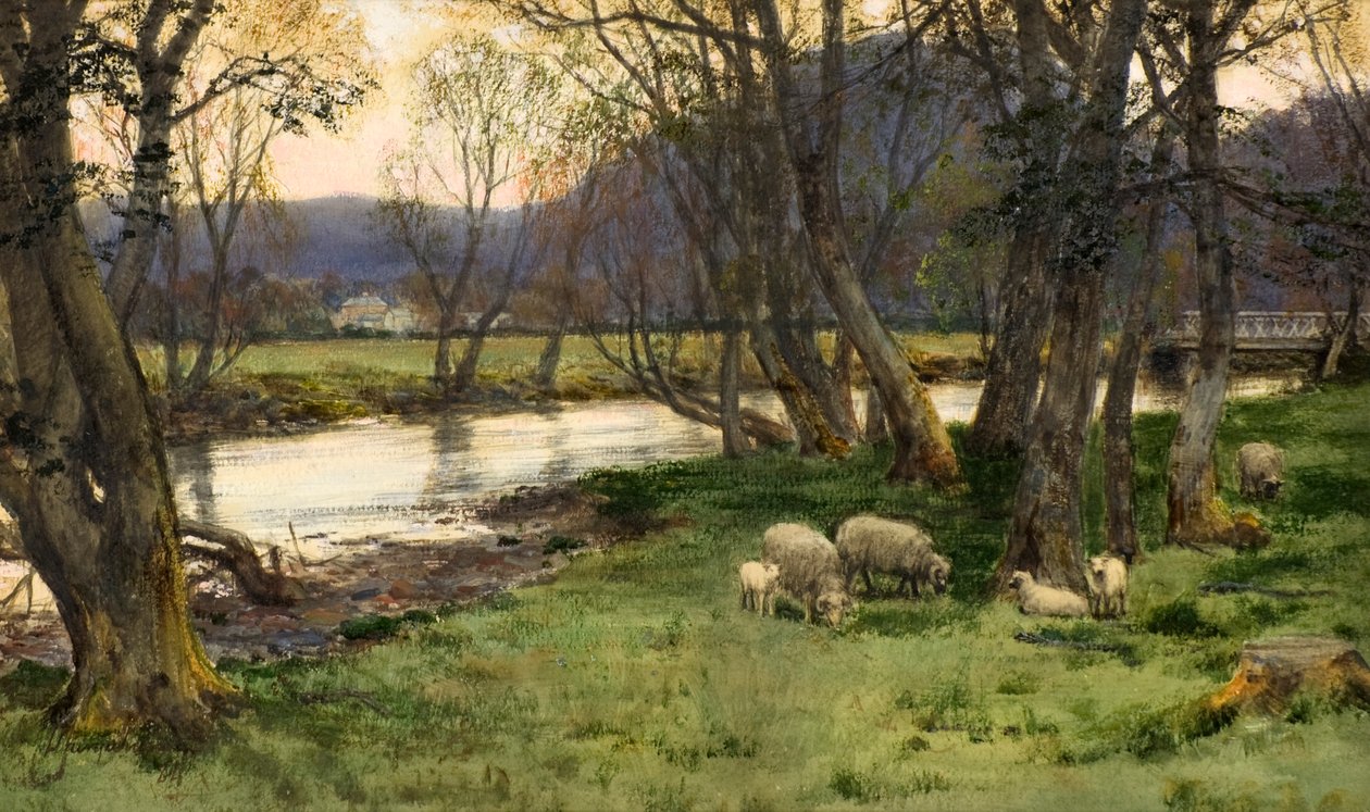 Achray da David Farquharson