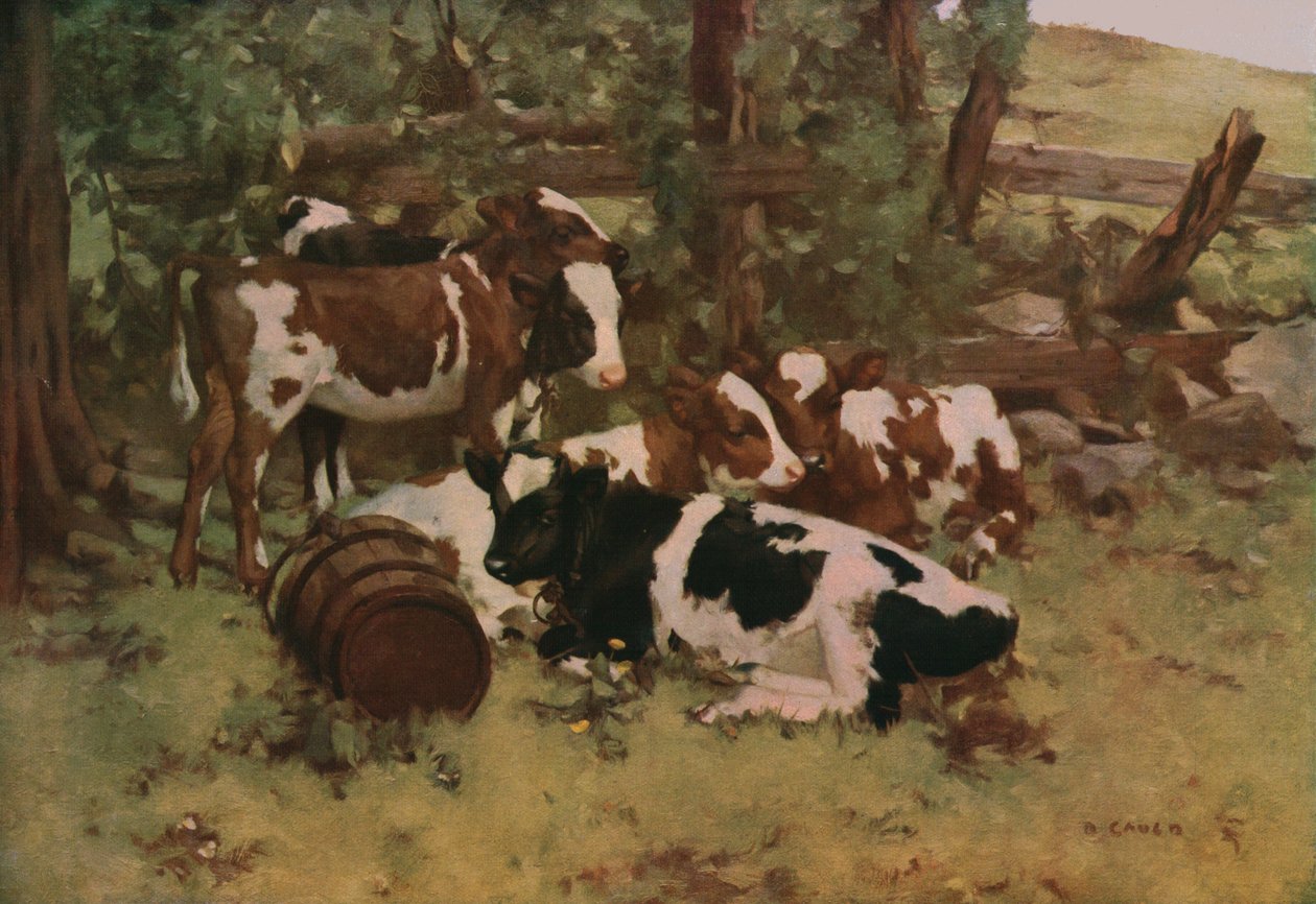 Contentezza, c1903, c1930 da David Gauld