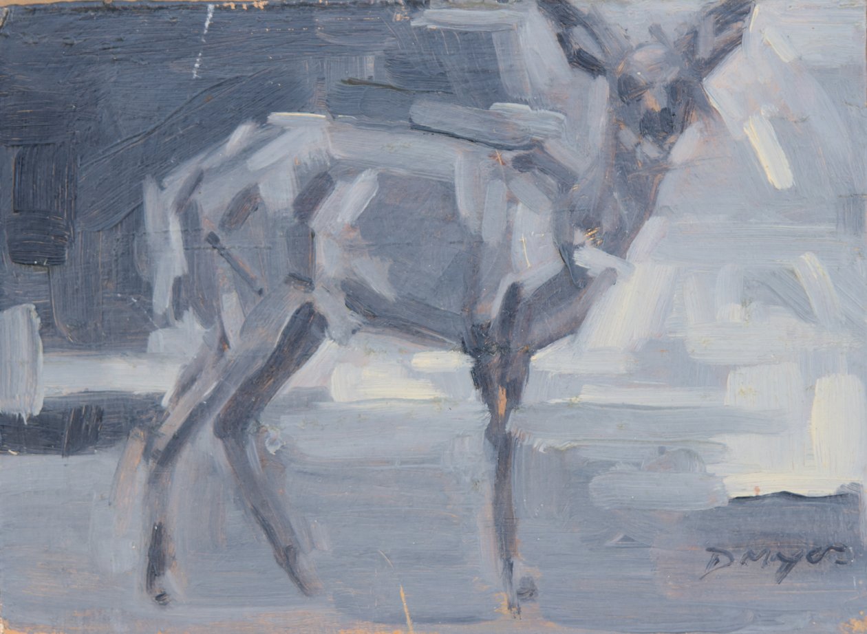 Bushbuck Doe, 2016 da David Mayer