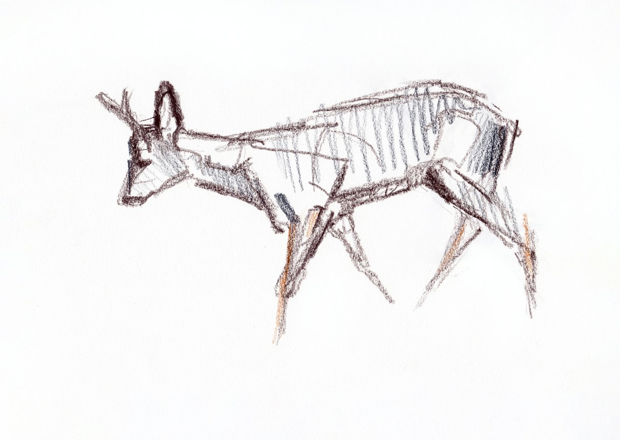 Capriolo, 2021 da David Mayer