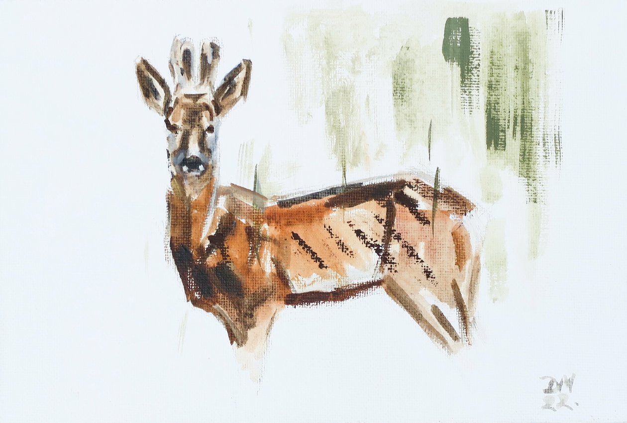 Capriolo (Maschio), 2022 da David Mayer