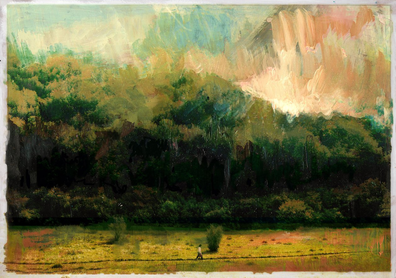 Boschi di Oakridge, 2015 da David McConochie