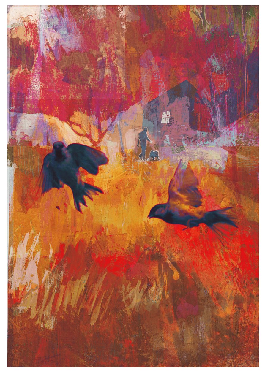 Passeri, 2016 da David McConochie