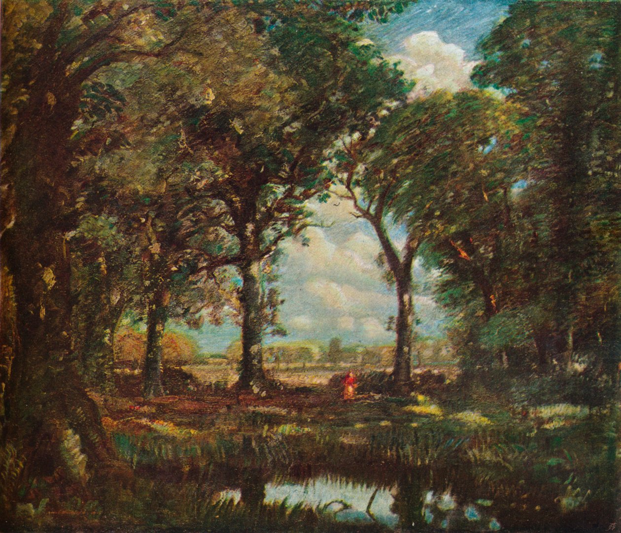 Una pozza nel bosco, c1905 da David Muirhead