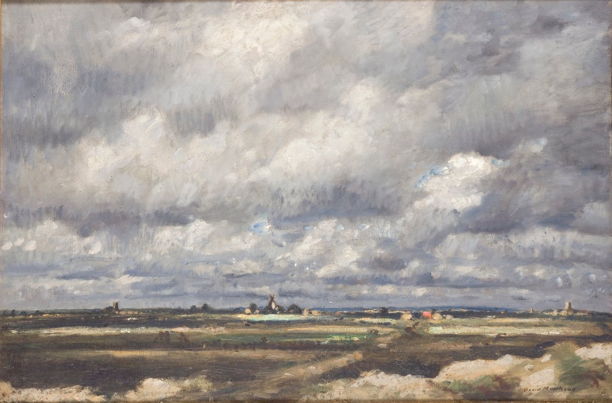 Tempesta su vasta campagna da David Muirhead