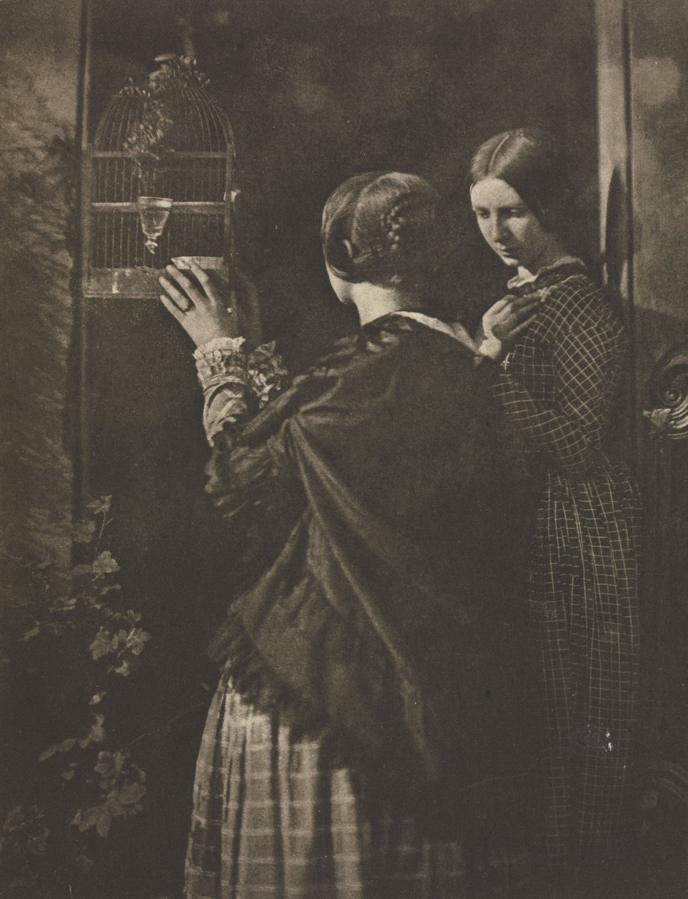 La Gabbia per Uccelli da David Octavius Hill