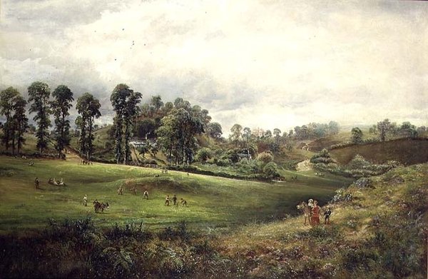 Una Partita di Cricket di Villaggio da David Payne