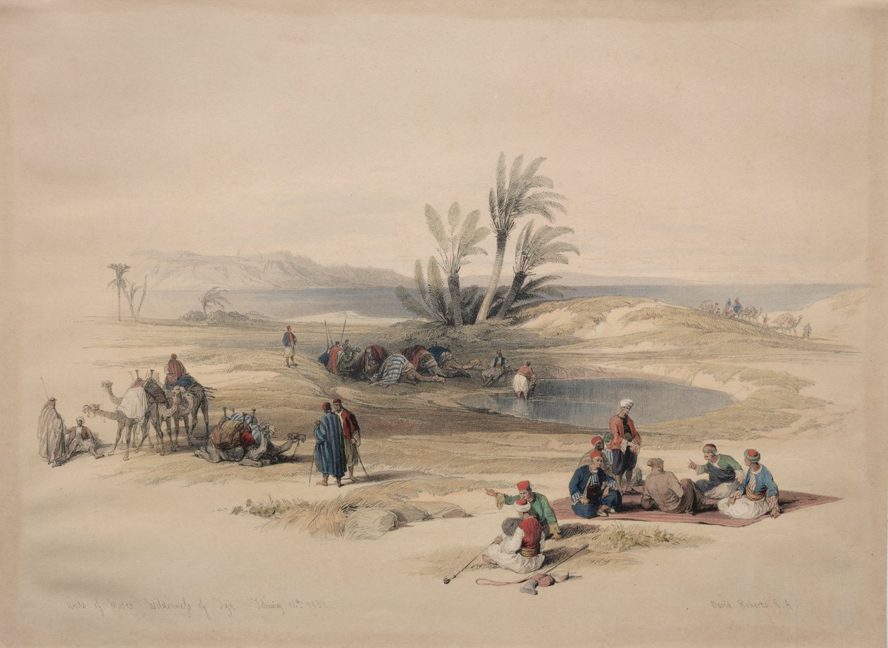 Pozzi di Mosè, deserto di Tyh da David Roberts