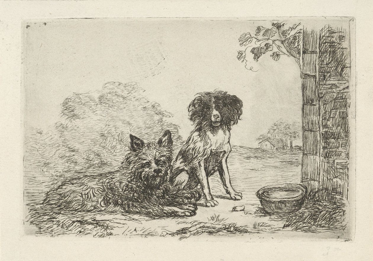 Due cani da David van der Kellen