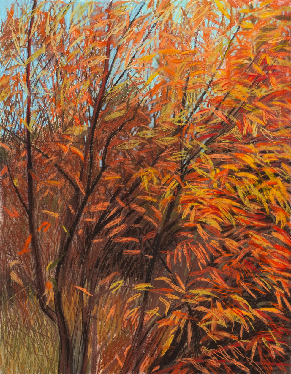 Red Willow 1a, 2021 da Diana Jahns