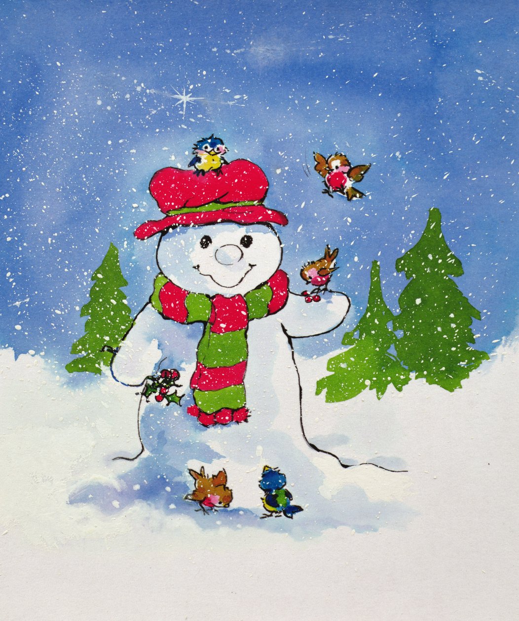 Il Pupazzo di Neve da Diane Matthes