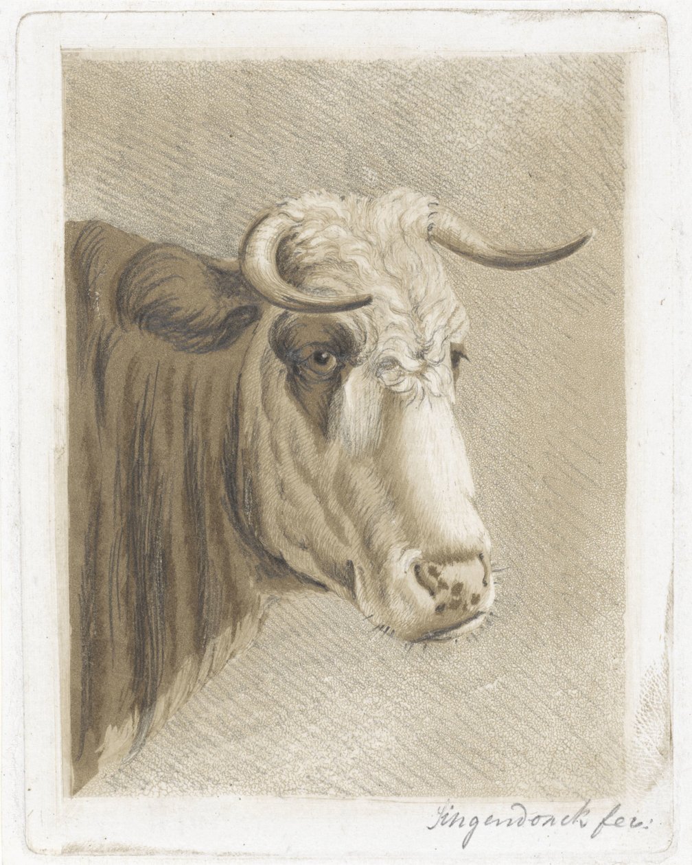 Koekop da Diederik Jan Singendonck (signed by artist)