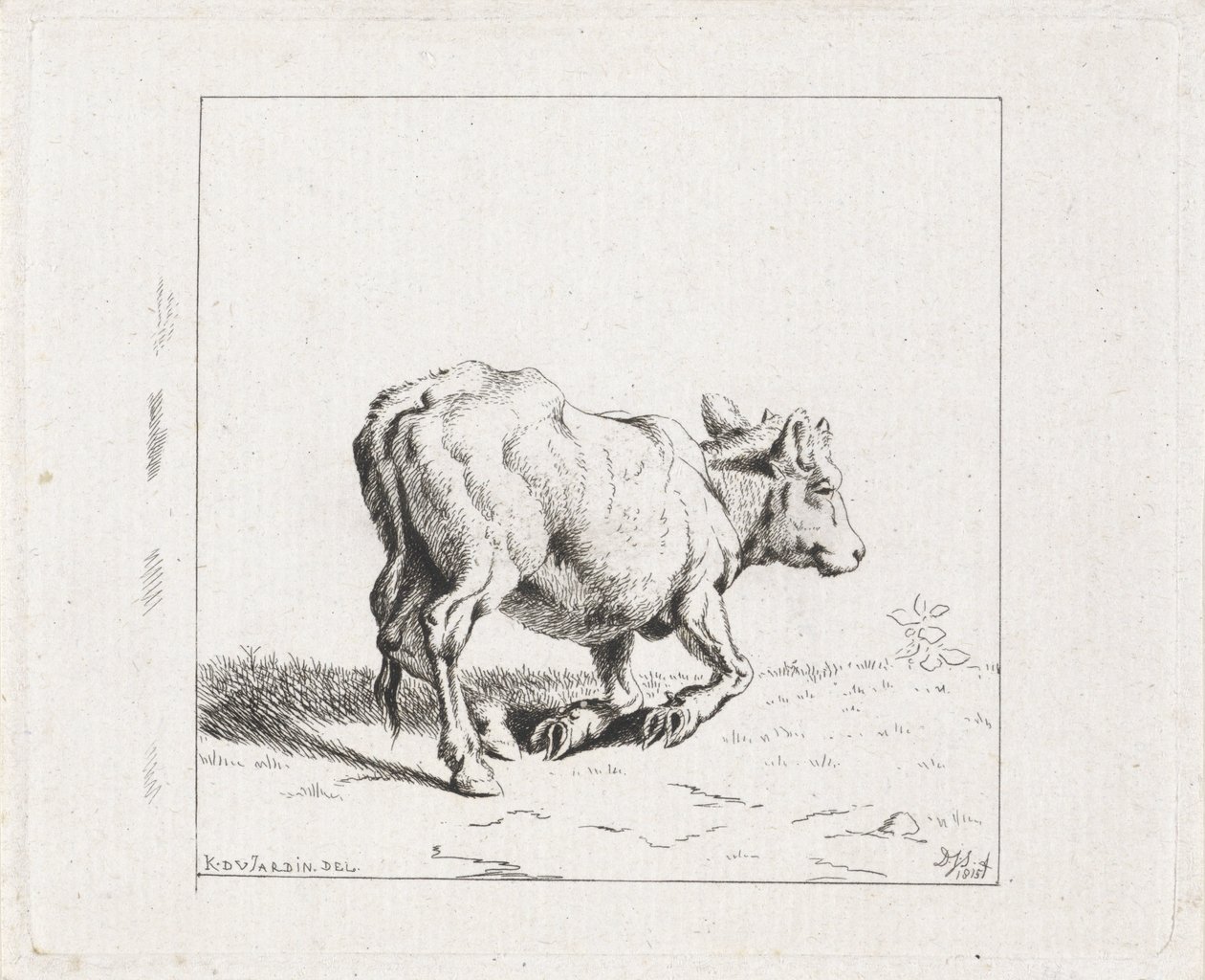 Vitello che si alza da Diederik Jan Singendonck