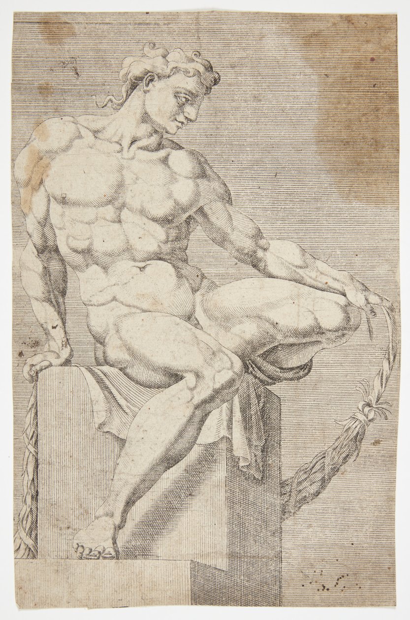 Nudo dalla Cappella Sistina da Dirck Volckertsz. Coornhert