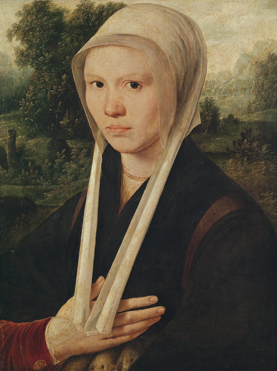 Ritratto di una giovane donna, c.1530 da Dirk Jacobsz