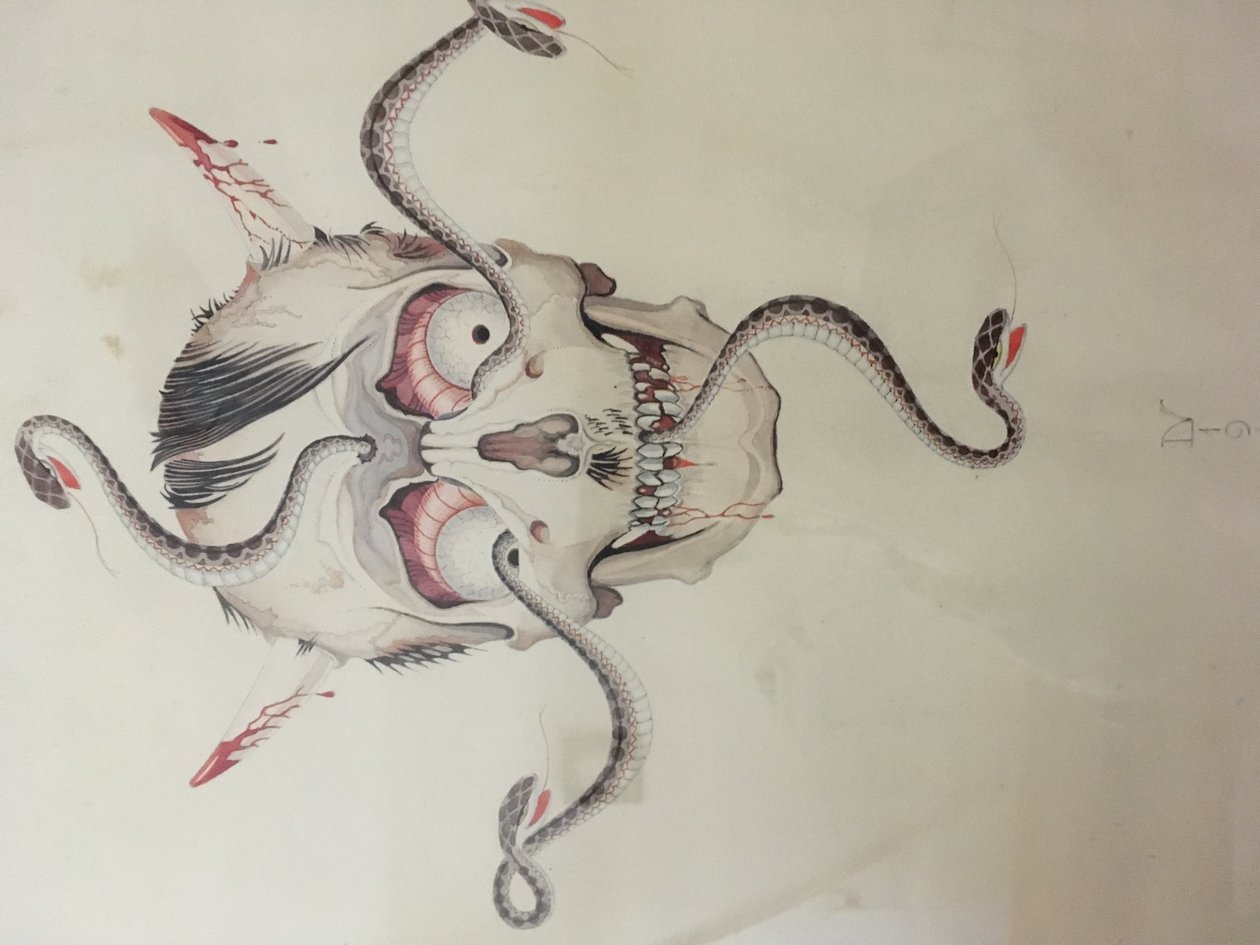 Caricatura di Hitler da Dirk Verstraten
