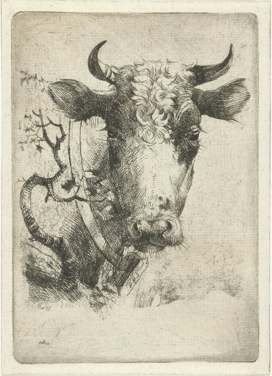 Testa di mucca con collare da Dirk Dirksen