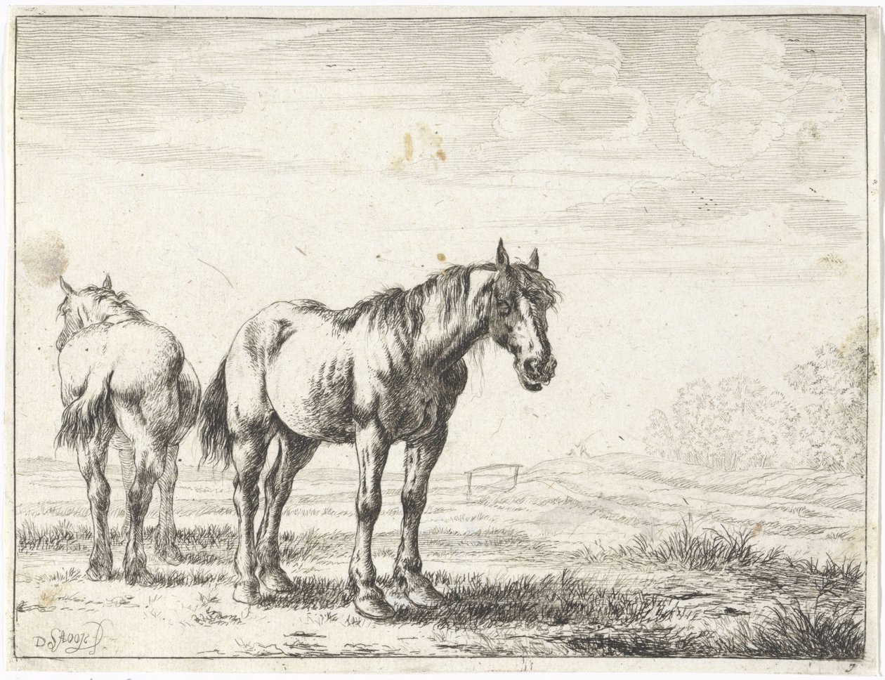 Due cavalli in un paesaggio da Dirk Stoop