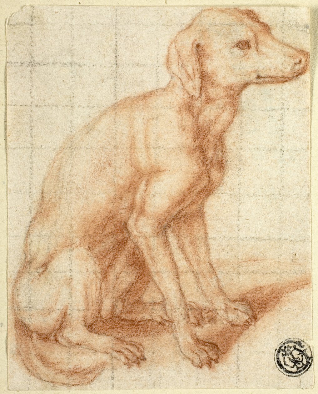 Retriever da Dirk Valkenburg