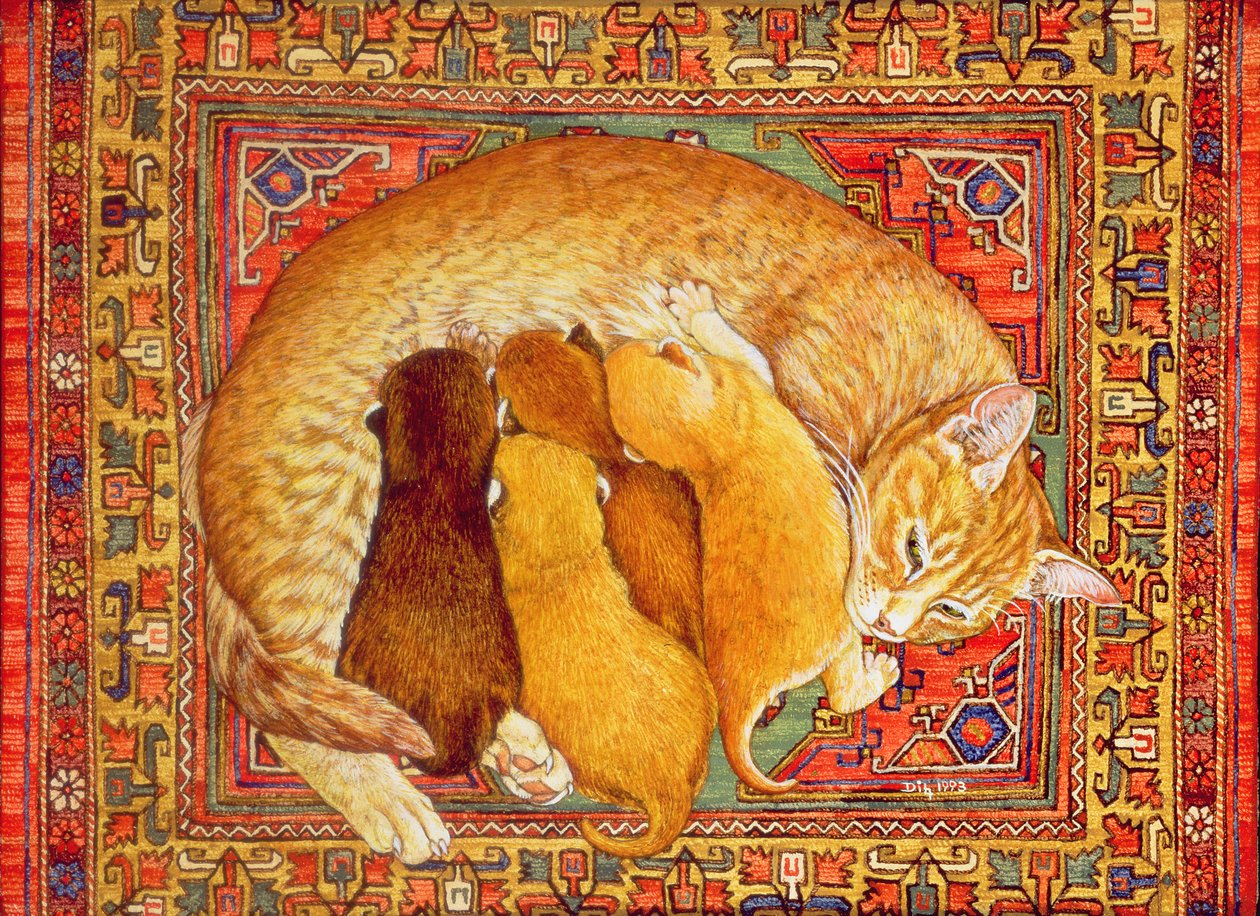 Gattini sul Tappeto da Ditz