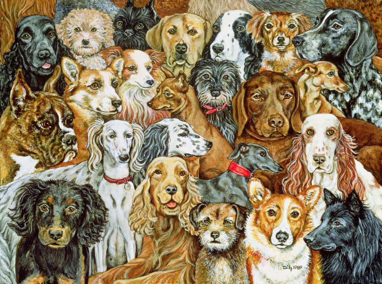 Cane spalmato, 1989 da Ditz