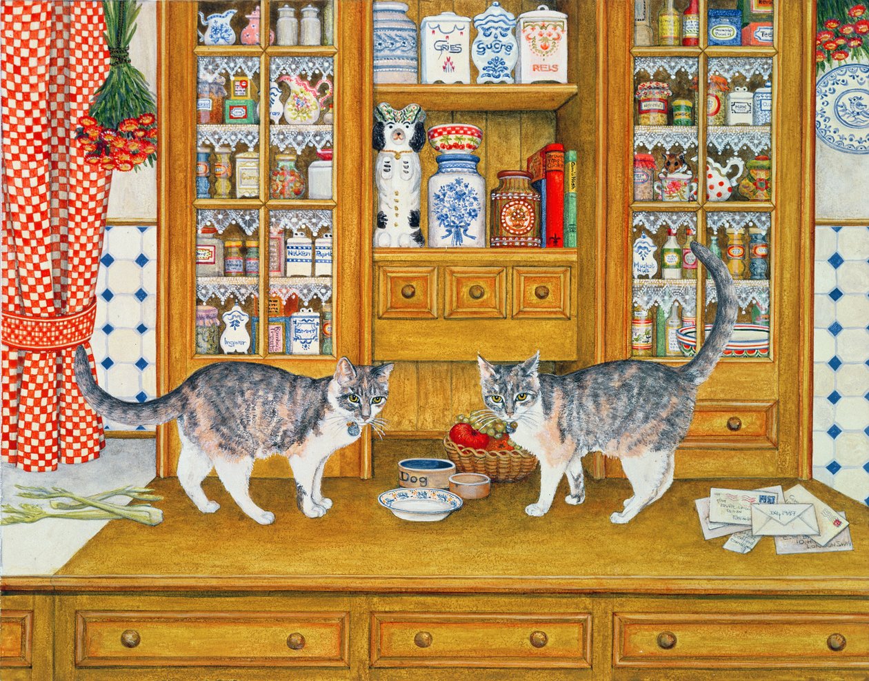 Gatti sul Comò da Ditz