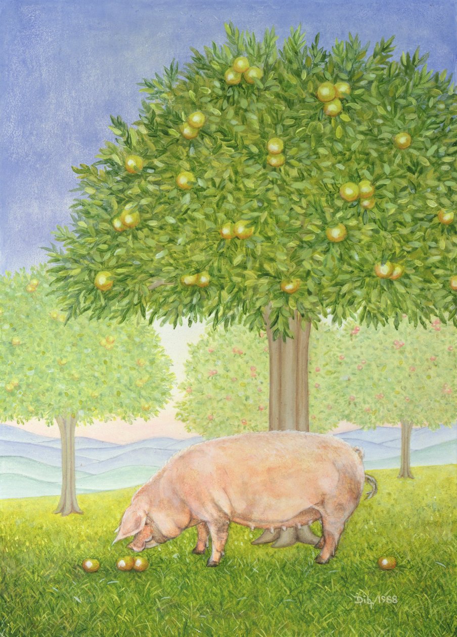 Maiale del frutteto sinistro da Ditz