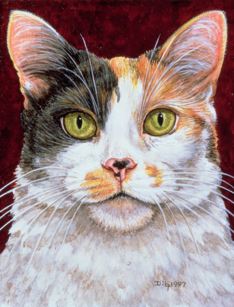 Calendula, 1997 da Ditz