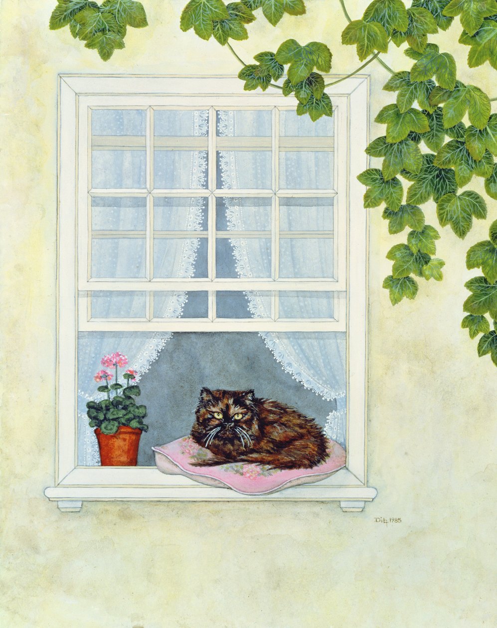 Il gatto di Pam da Ditz
