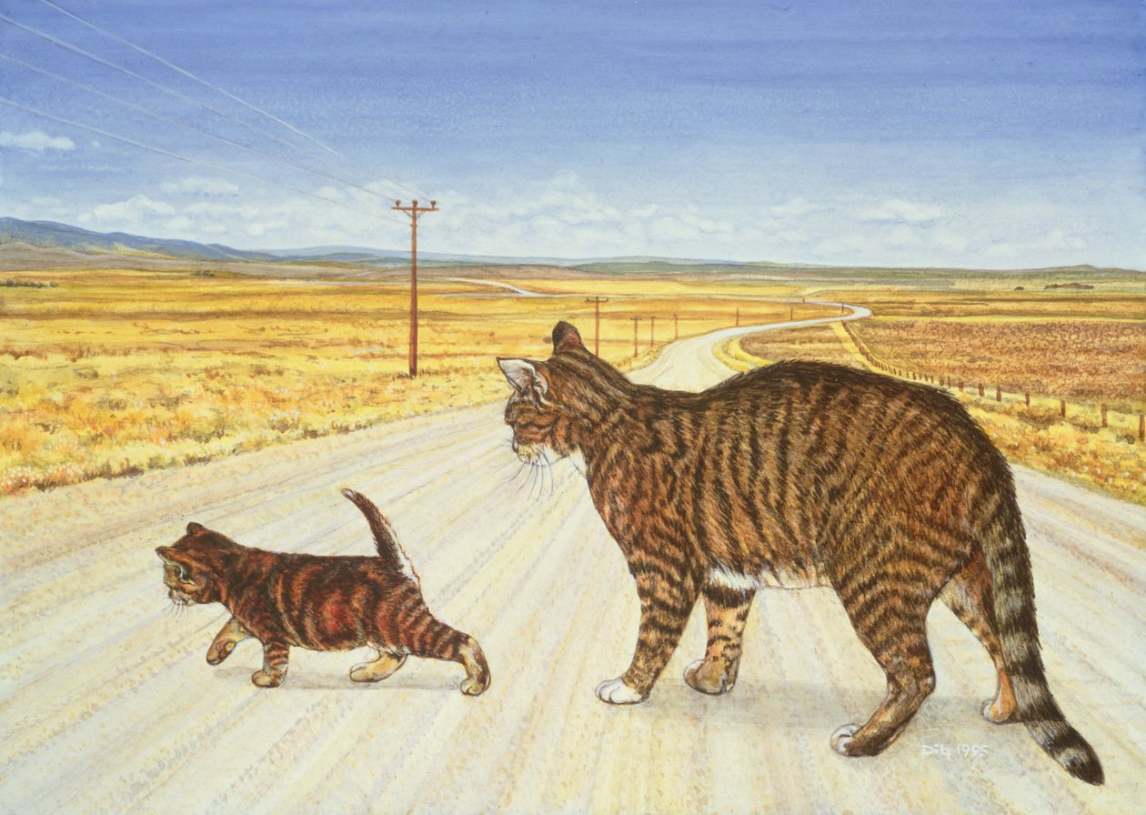 Attraversamento di Saratoga, 1995 da Ditz
