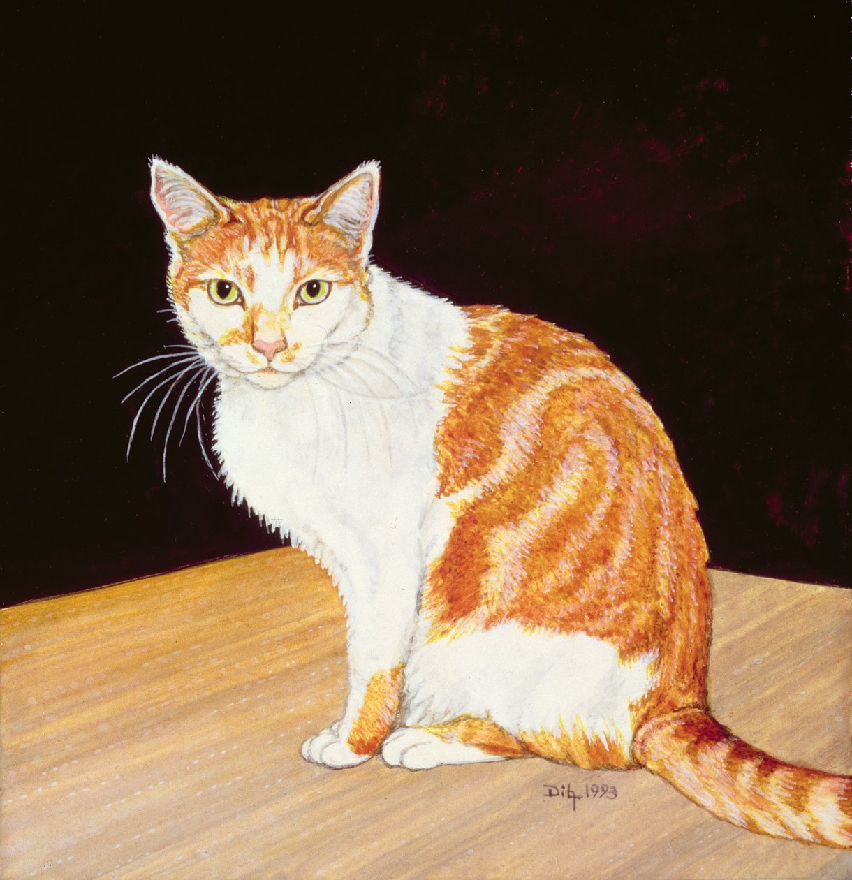 Tommaso da Ditz