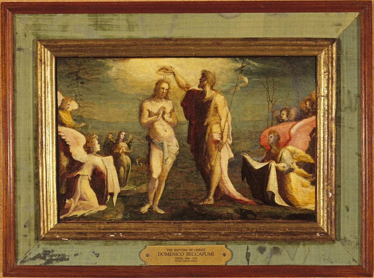 Beccafumi - Il battesimo di Cristo, 1528 da Domenico Beccafumi