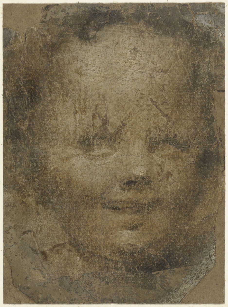 Testa di bambino da Domenico Beccafumi