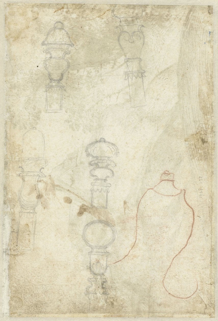 Schizzi di boccioli da Domenico Campagnola (possibly)