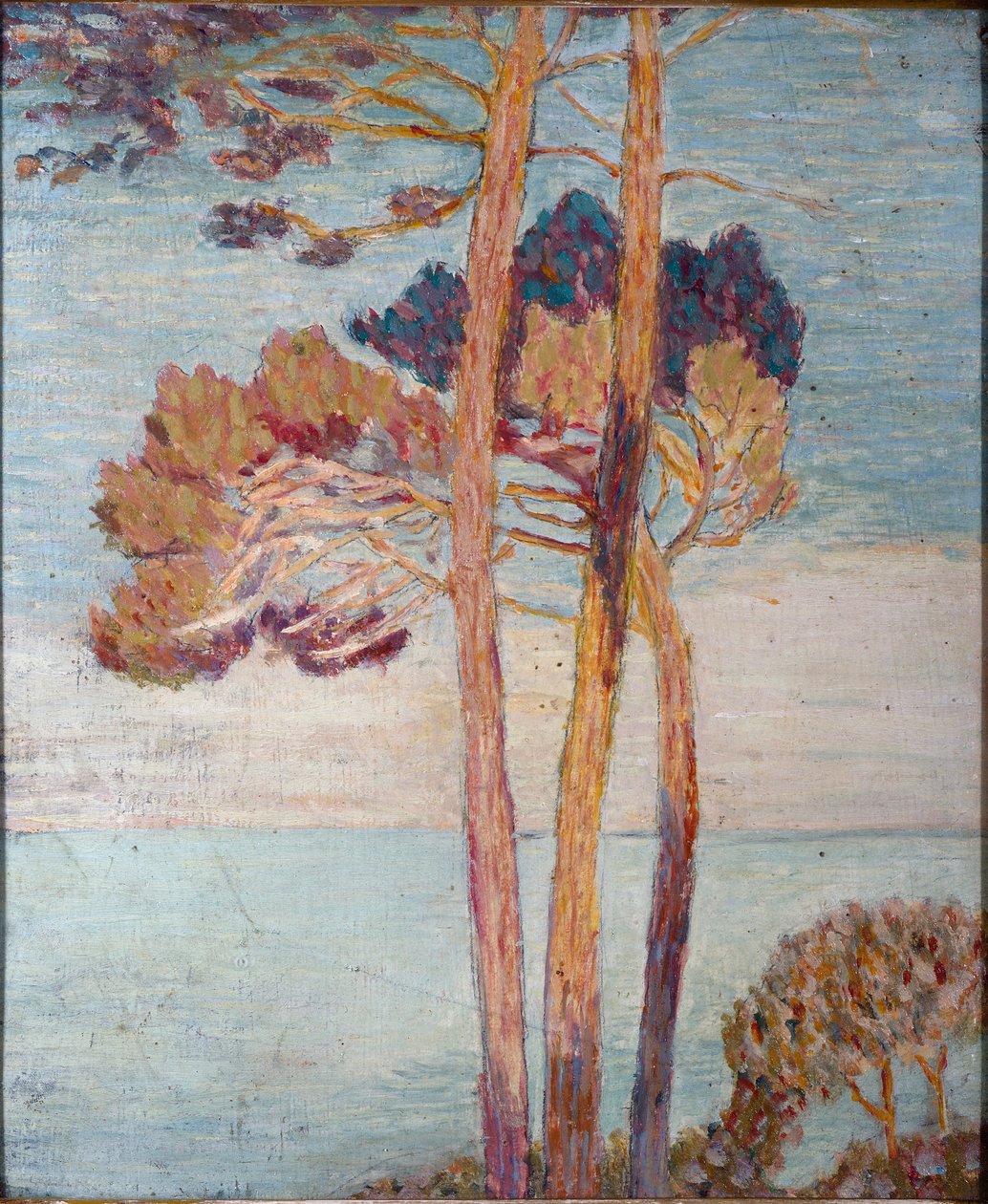 Alberi da Domenico Guerello