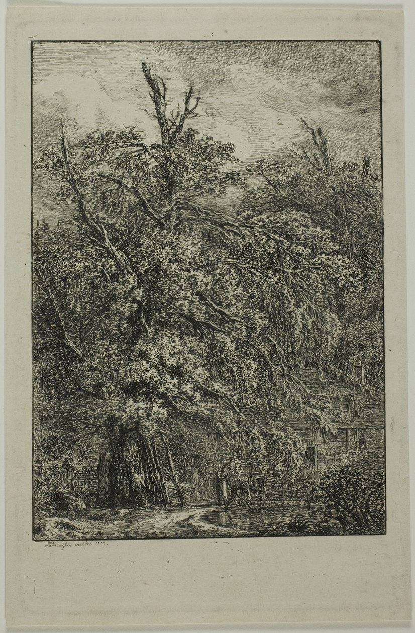 Grande albero da Domenico Quaglio