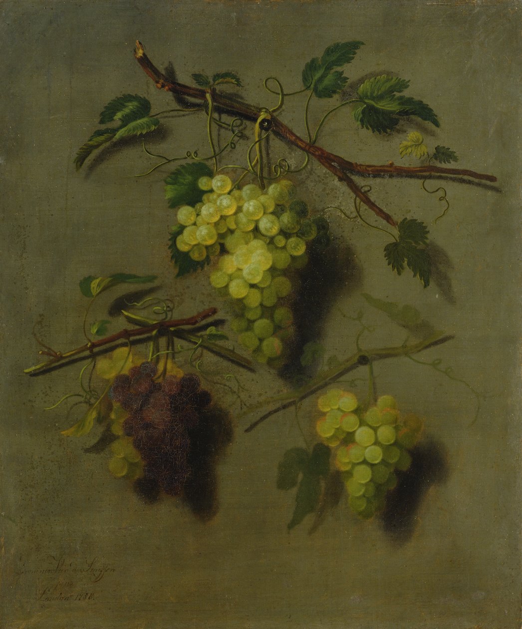 Natura Morta, 1738 da Dominicus Van der Smissen