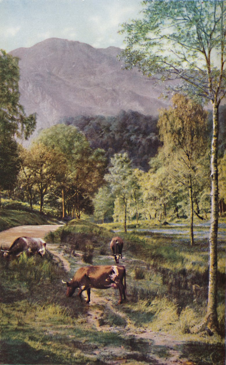 Scozia, c1930 da Donald McLeish