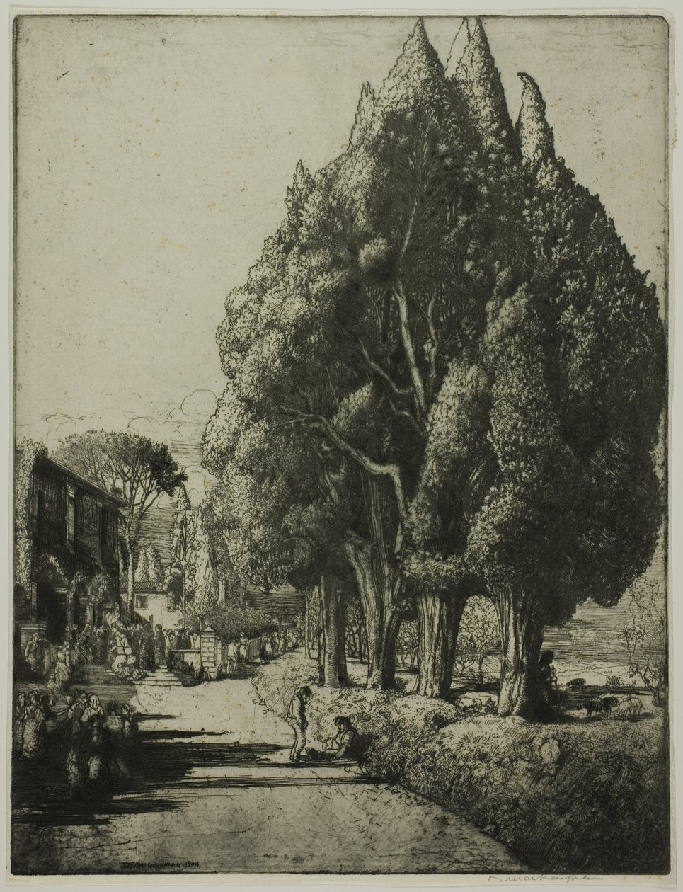 Il Bosco di Cipressi da Donald Shaw MacLaughlan