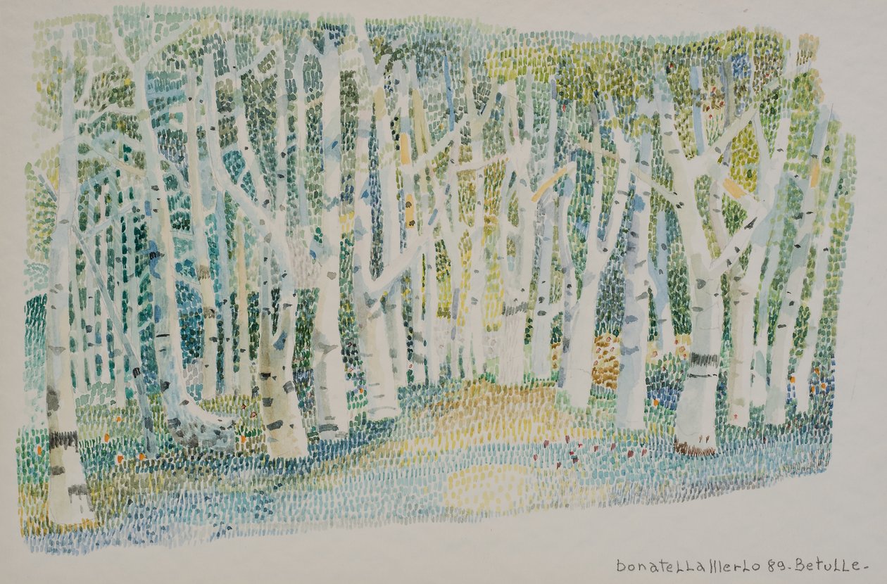 Foresta di betulle da Donatella Merlo