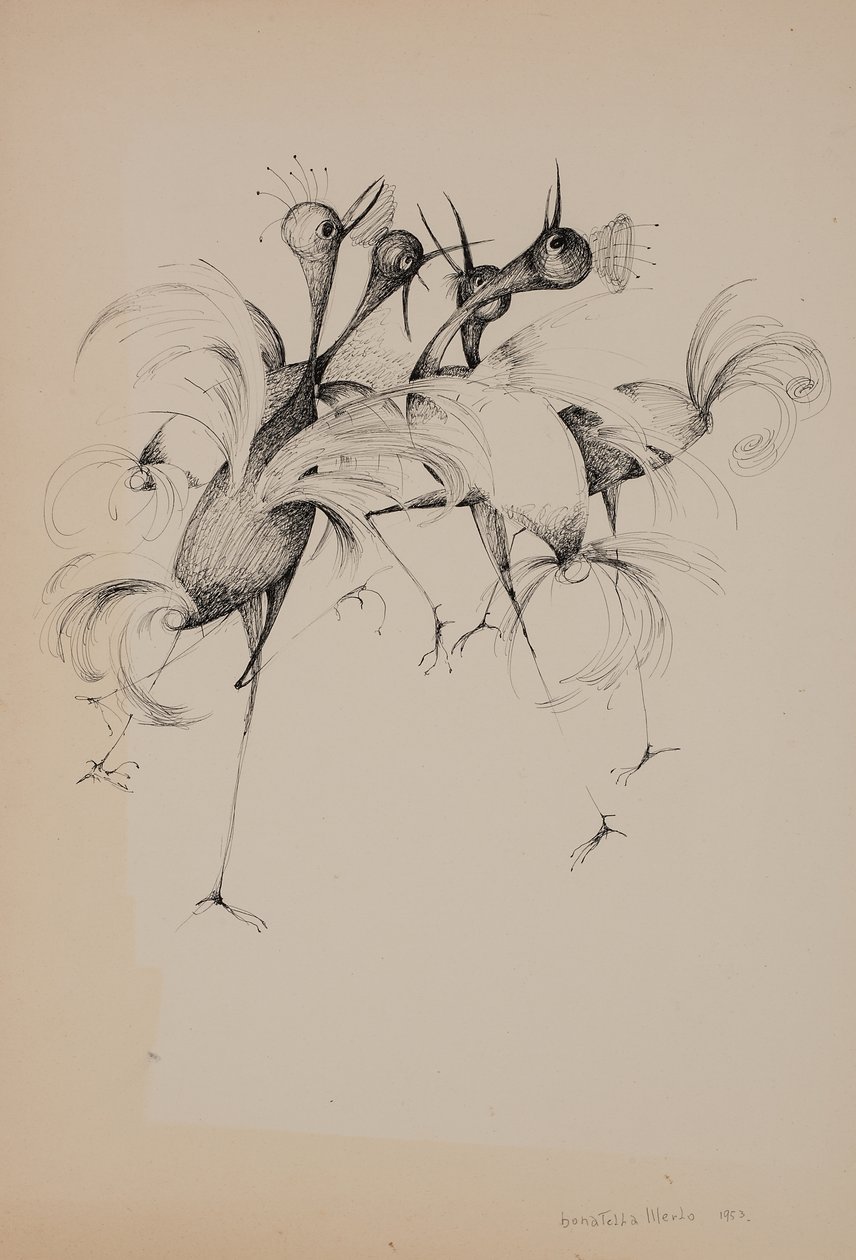 Uccelli da Donatella Merlo