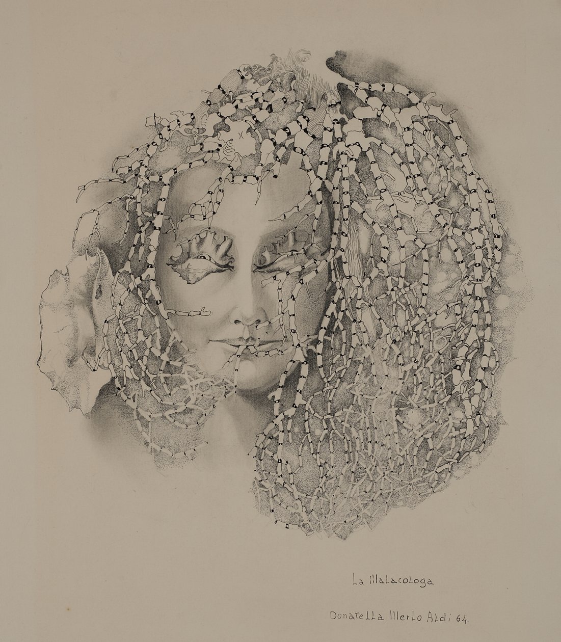 La malacologia da Donatella Merlo