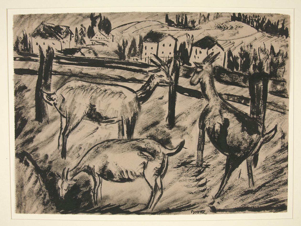 Capre e paesaggio da Dora Bromberger