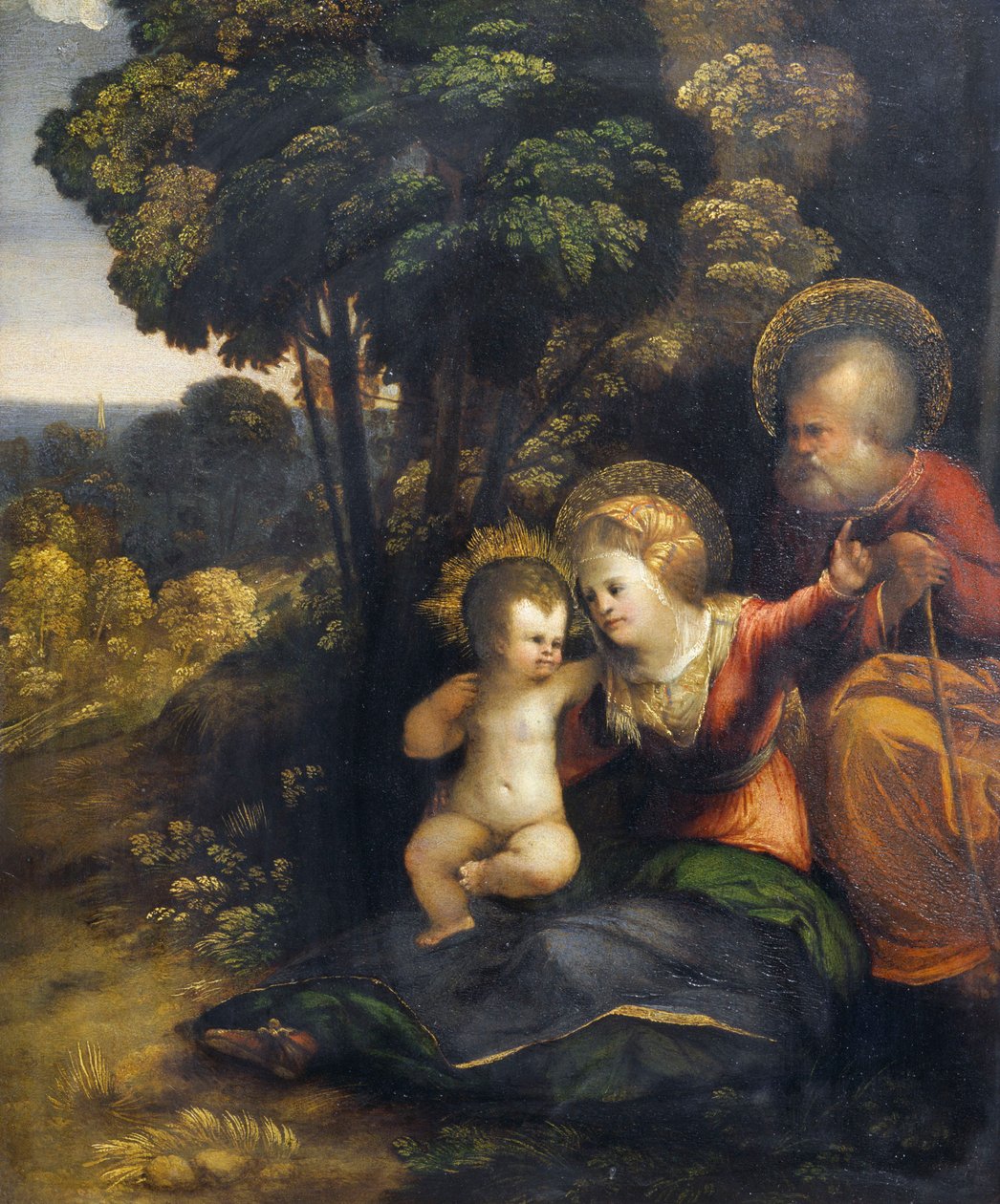 Riposo durante la fuga in Egitto da Dosso Dossi