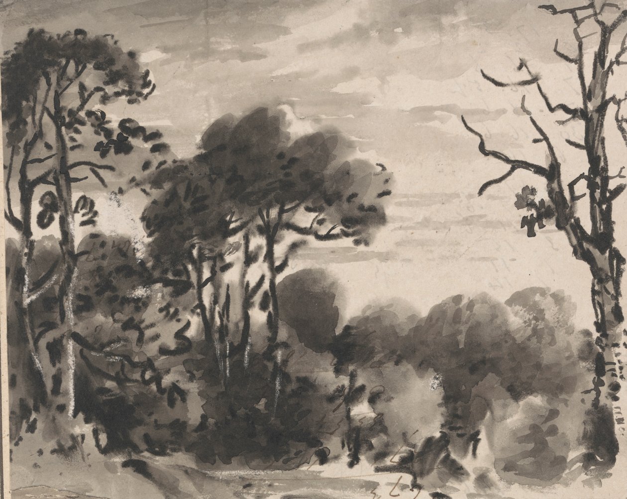 Composizione: Il Bordo di un Bosco da Dr. Thomas Monro